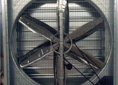 點(diǎn)擊查看詳細(xì)信息<br>標(biāo)題：Heavy Hammer Type Animal Husbandry Fan 閱讀次數(shù)：1606