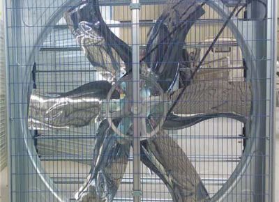 點(diǎn)擊查看詳細(xì)信息<br>標(biāo)題：Push Pull Negative Pressure Fan 閱讀次數(shù)：1495